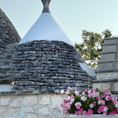 THE RETURN OF THE SWALLOWS